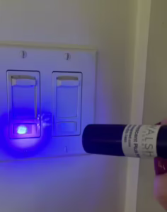Walsh Fluorescent Plus - Black Light