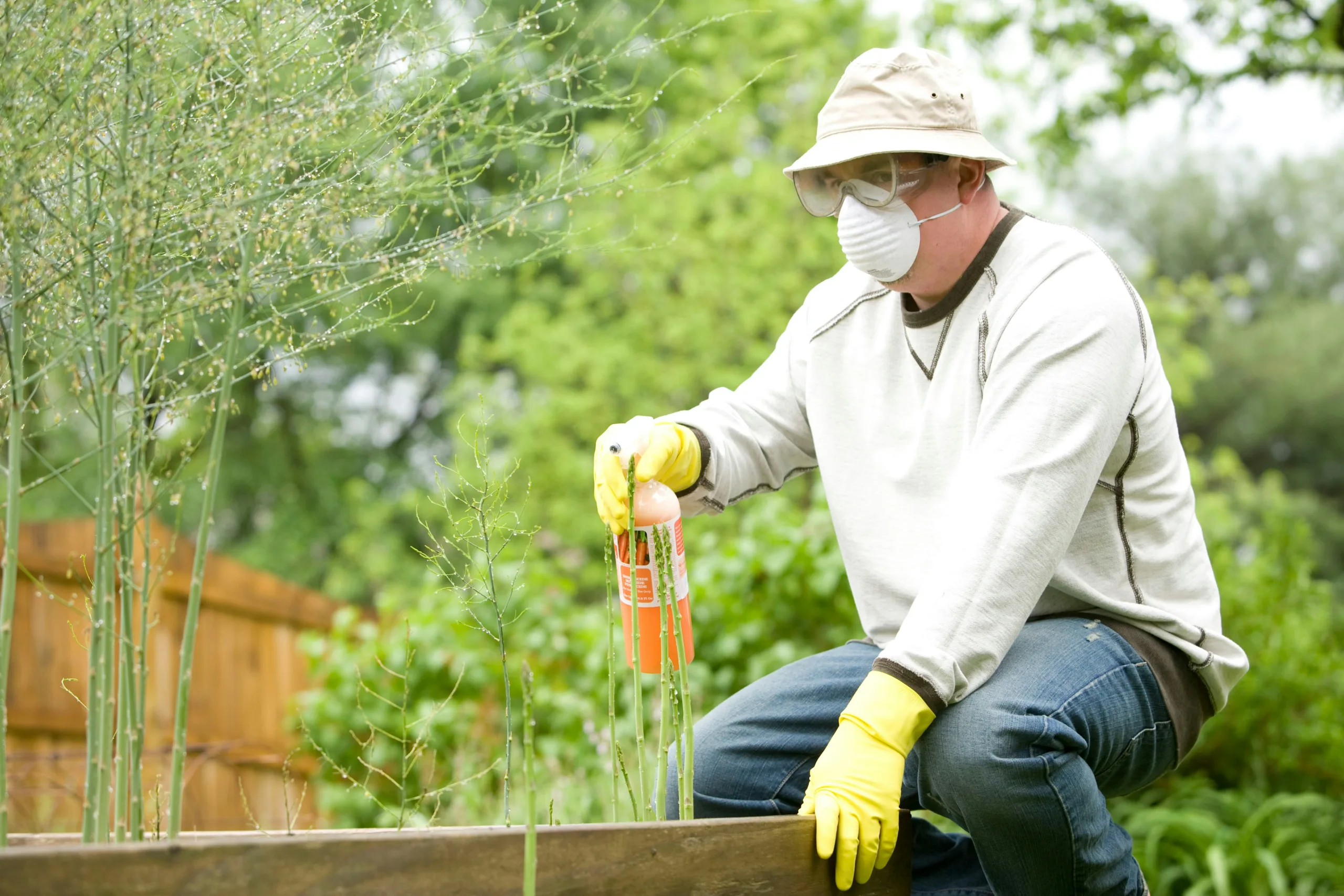 Pest inspection software can automate your manager